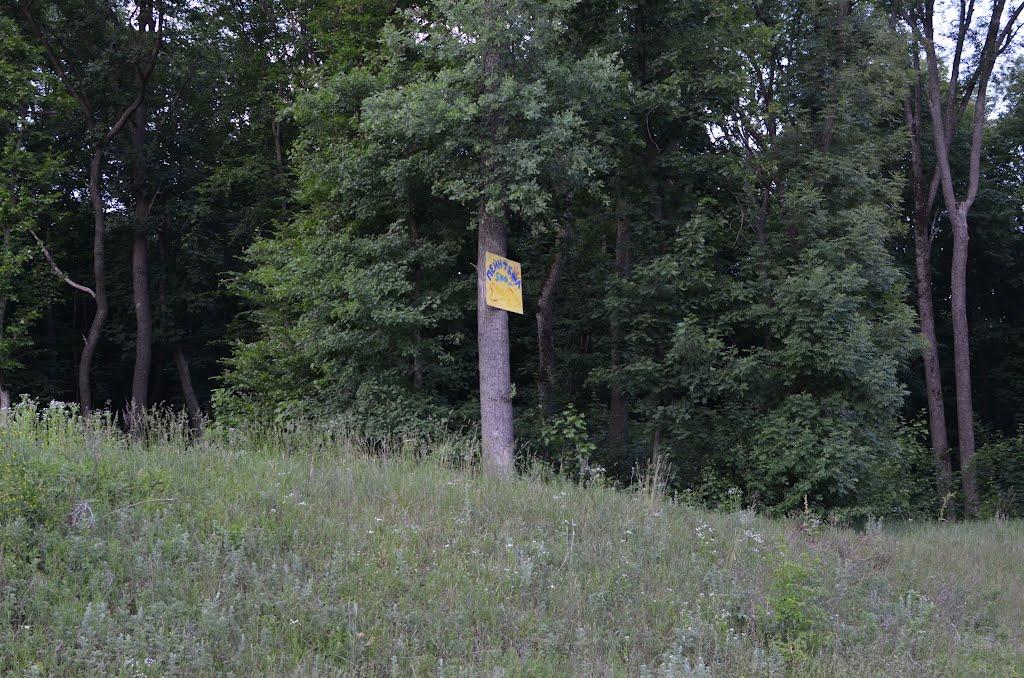 Собківка з panoramio.com - Собківка