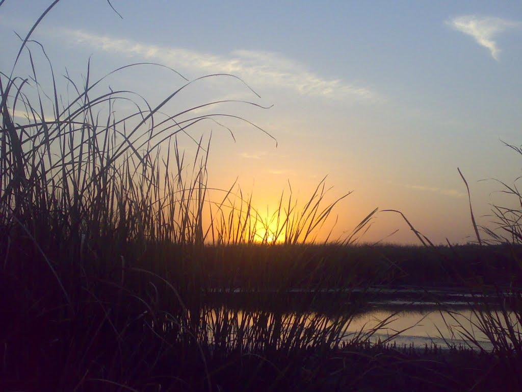 Шевченка з panoramio.com - Шевченка