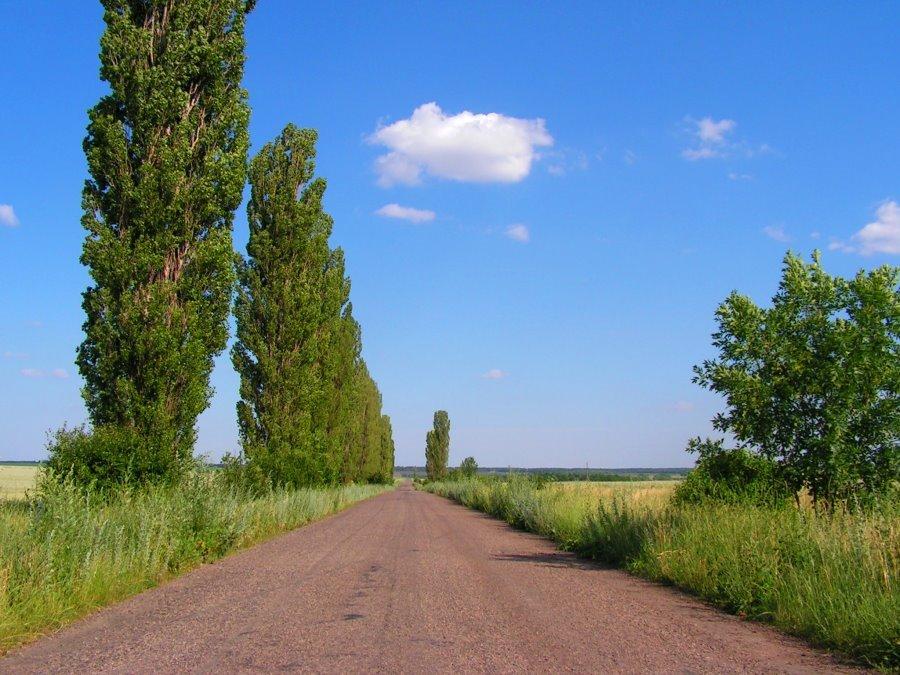 Вербове з panoramio.com - Вербове