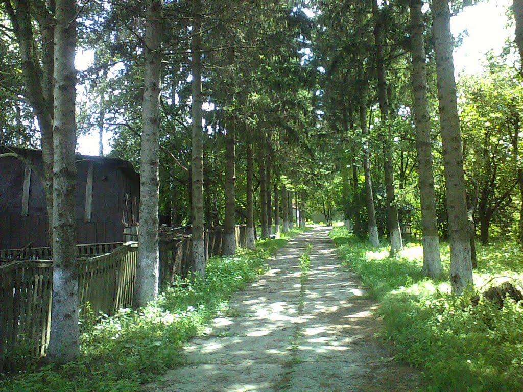 Сатанівка з panoramio.com - Сатанівка