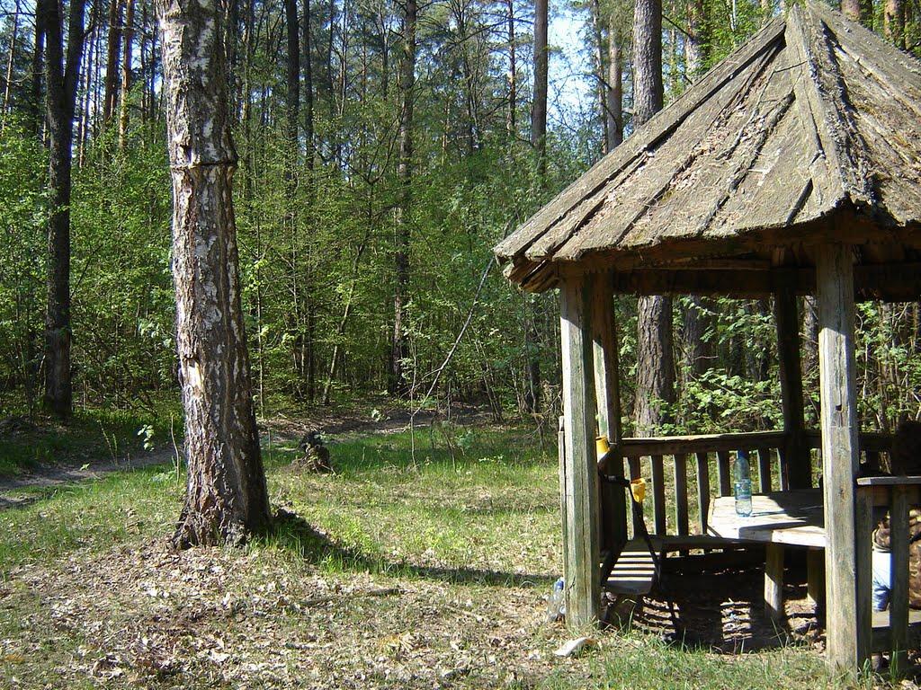 Чижівка з panoramio.com - Чижівка