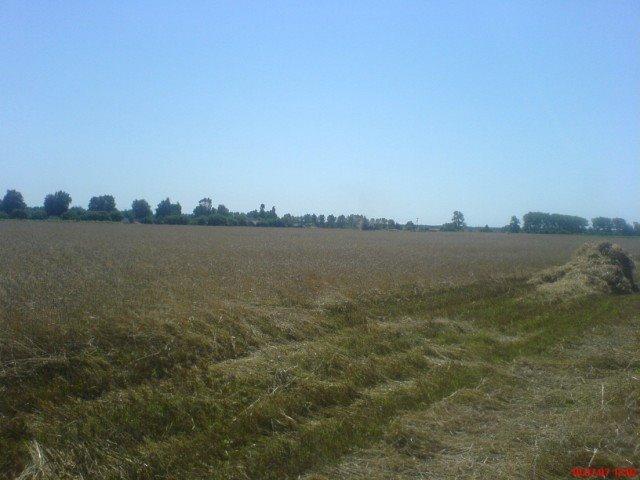 Жадове з panoramio.com - Жадове