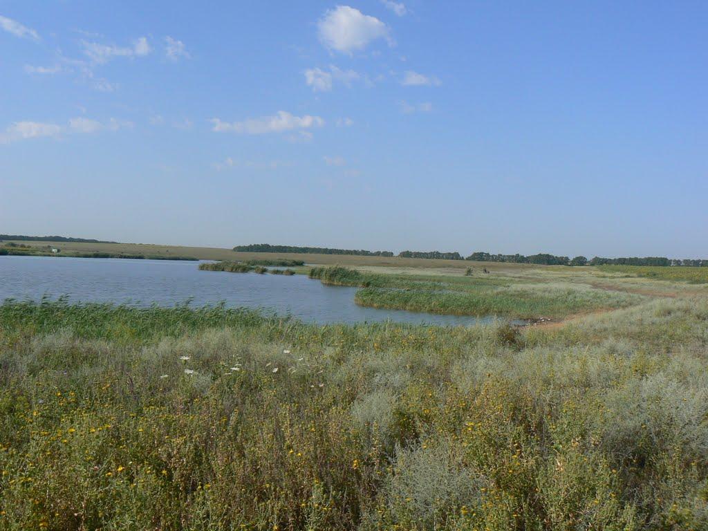 Карла Лібкнехта з panoramio.com - Карла Лібкнехта
