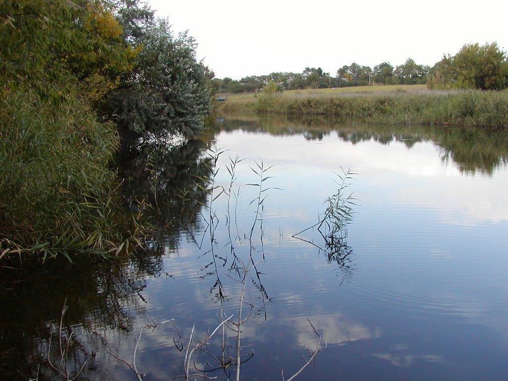 Комісарівка з panoramio.com - Комісарівка