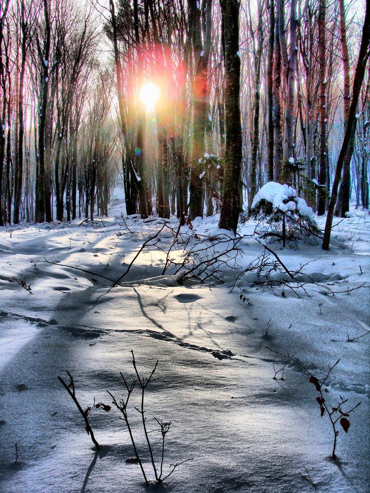 Черемошня з panoramio.com - Черемошня