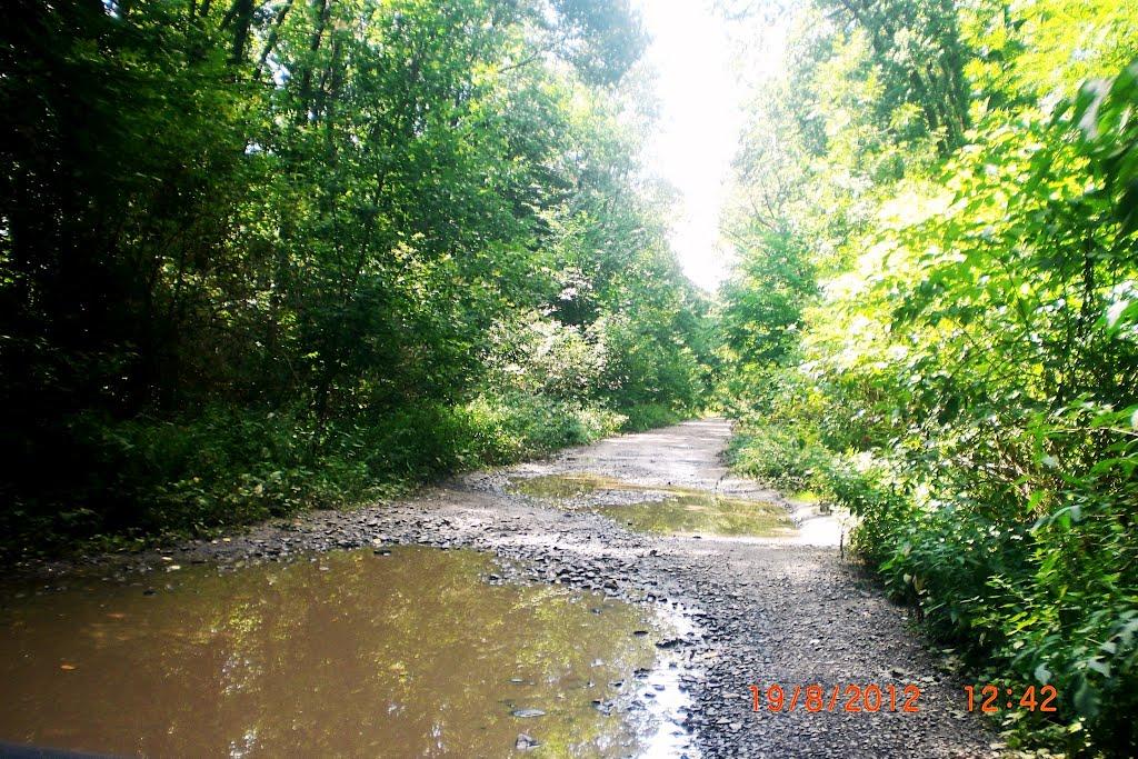 Ризине з panoramio.com - Ризине