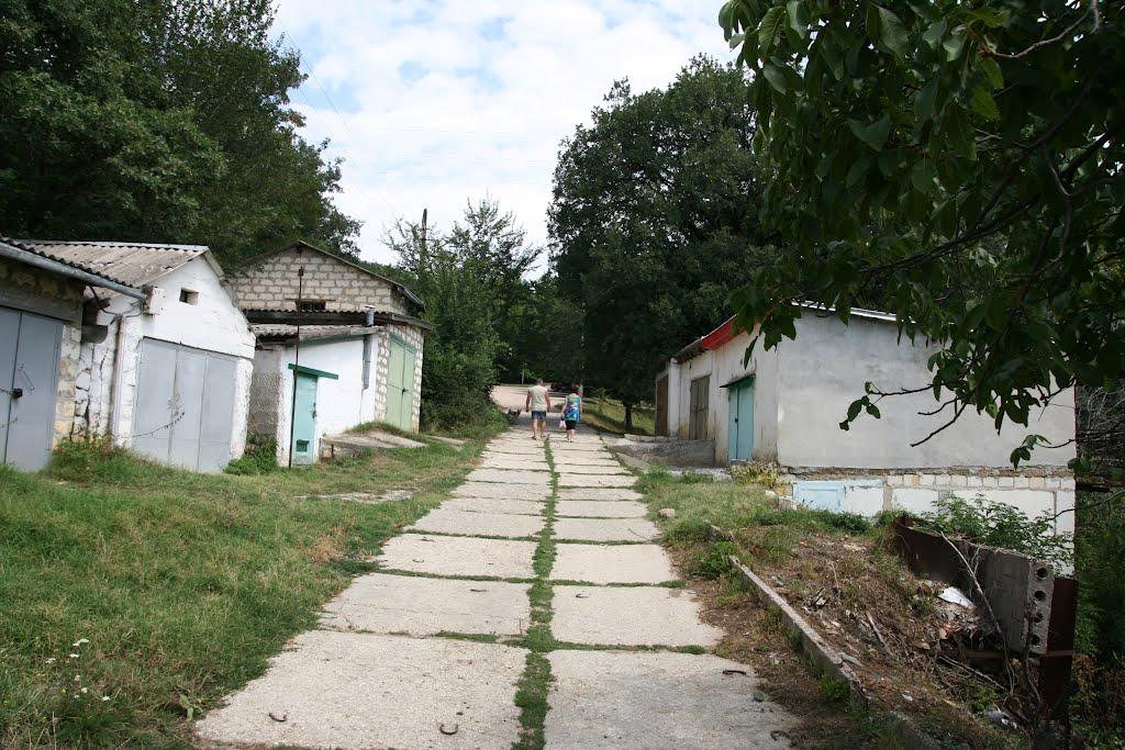 Научний з panoramio.com - Научний