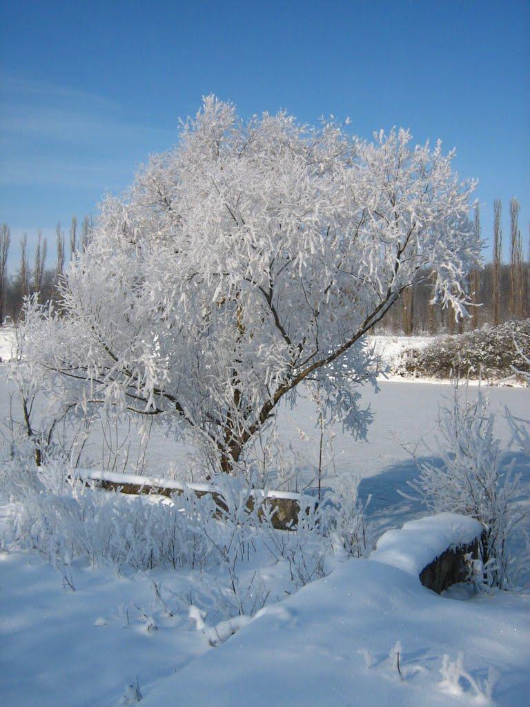 Калінінське з panoramio.com - Kalininske