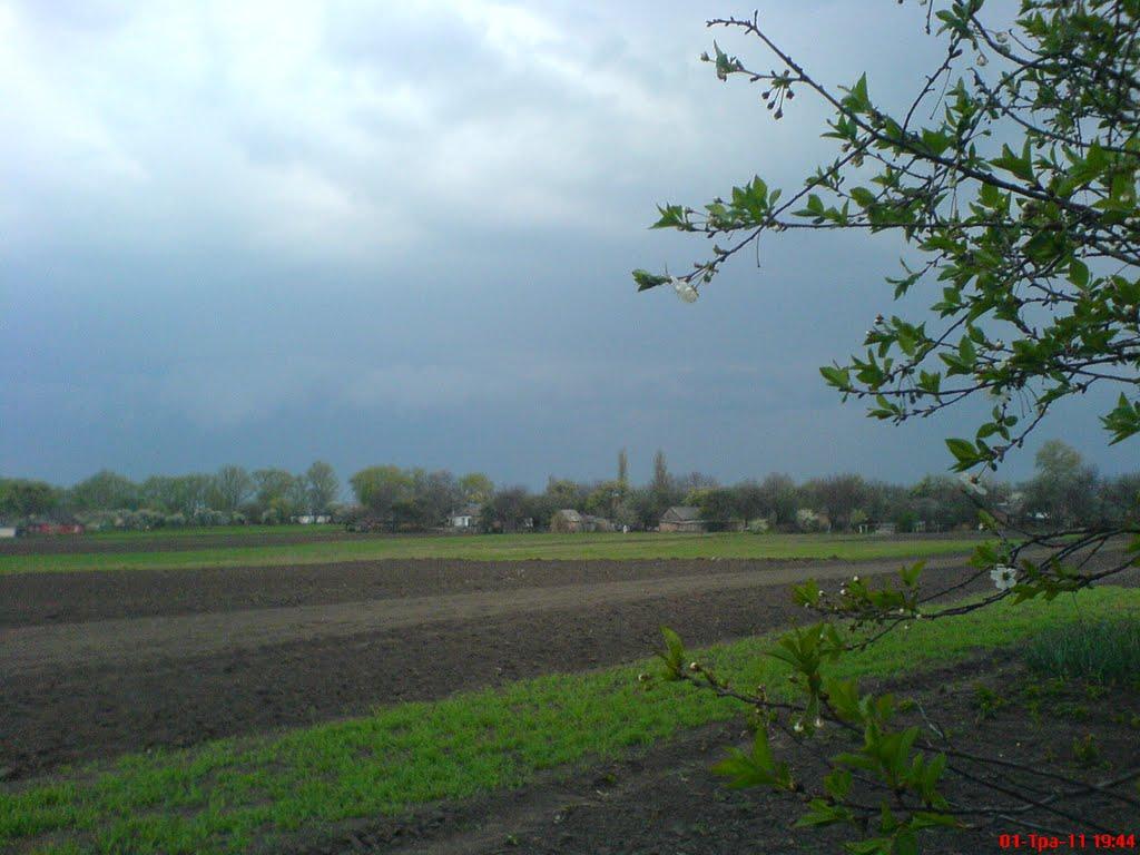 Дейманівка з panoramio.com - Дейманівка