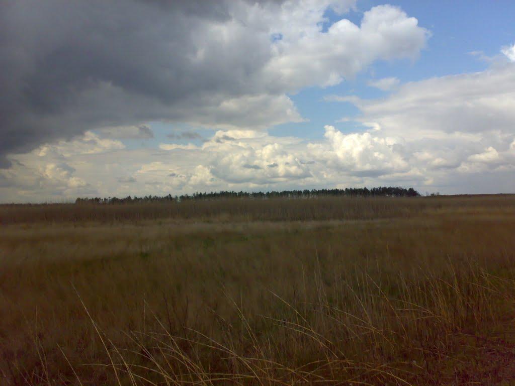 Буркути з panoramio.com - Буркути