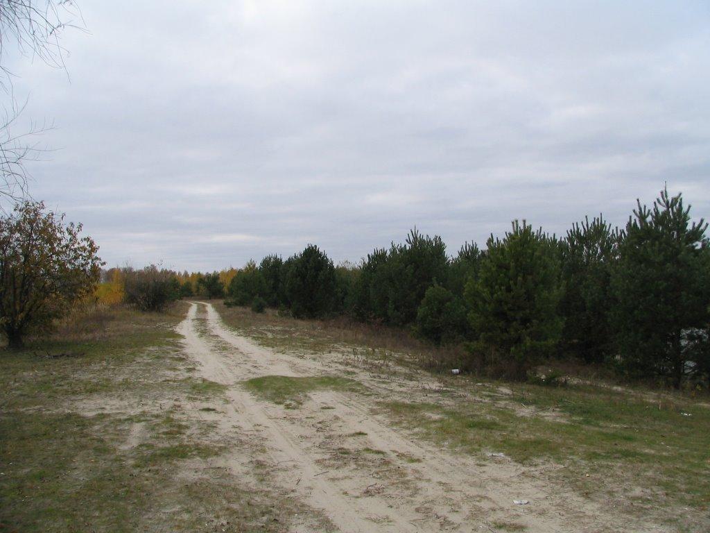 Містки з panoramio.com - Містки