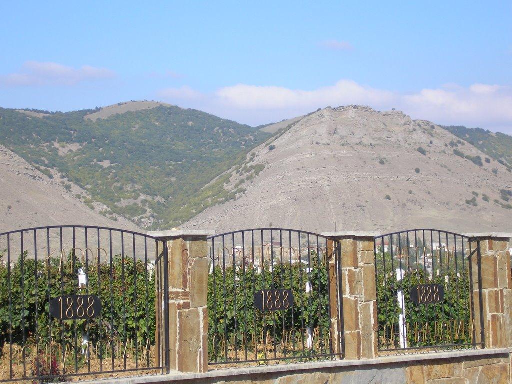 Сонячна Долина з panoramio.com (ч.2) - Сонячна Долина