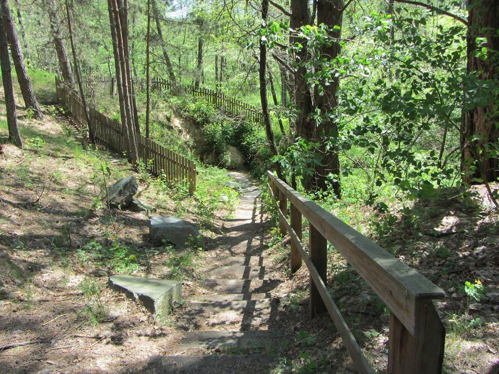 Узруй з panoramio.com - Узруй