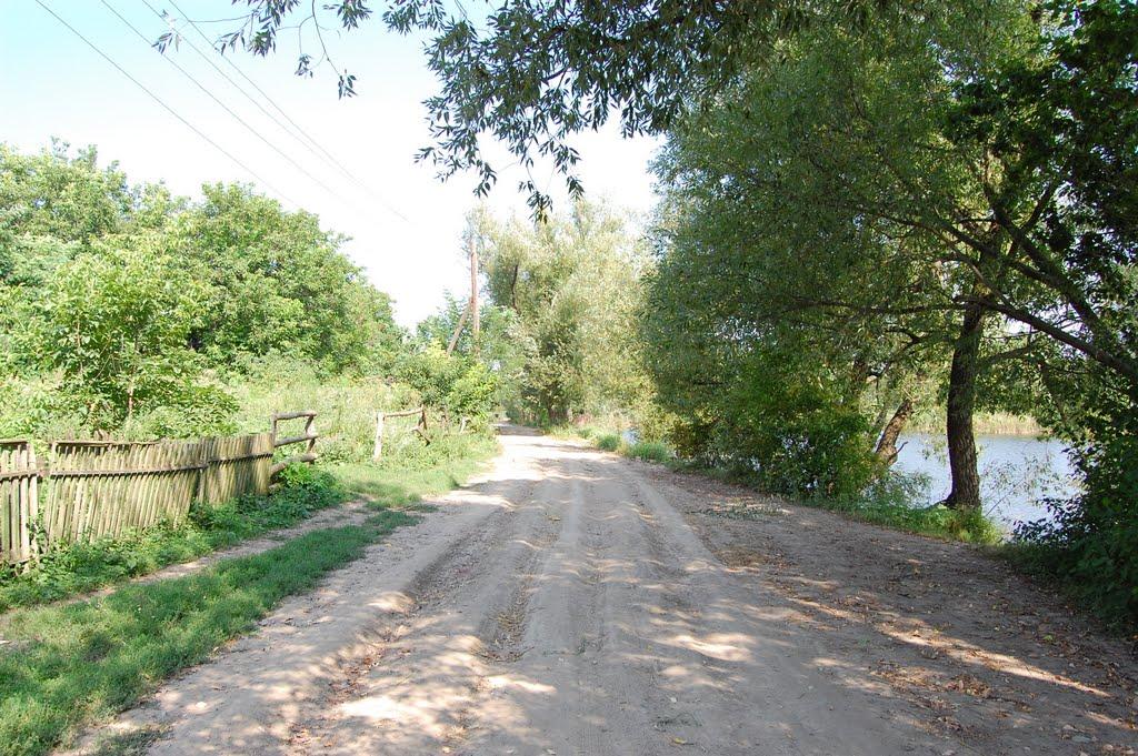 Борсуки з panoramio.com - Борсуки