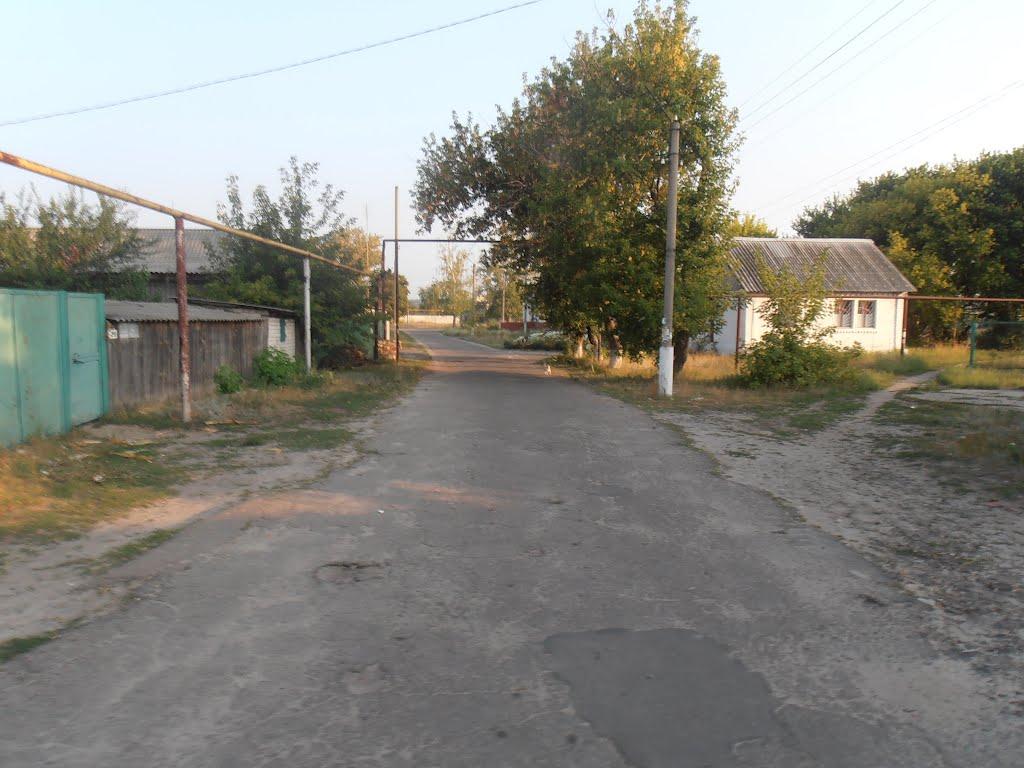 Сєверодонецьк з panoramio.com (ч.3) - Северодонецк