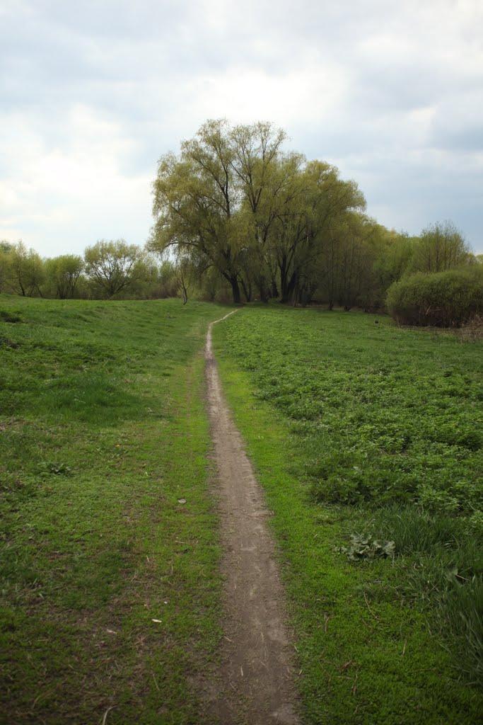 Дейманівка з panoramio.com - Дейманівка