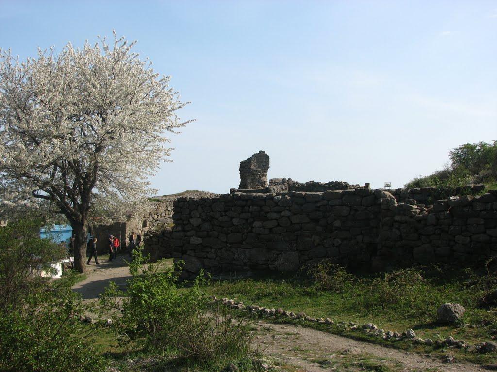 Лучисте з panoramio.com (ч.2) - Luchyste