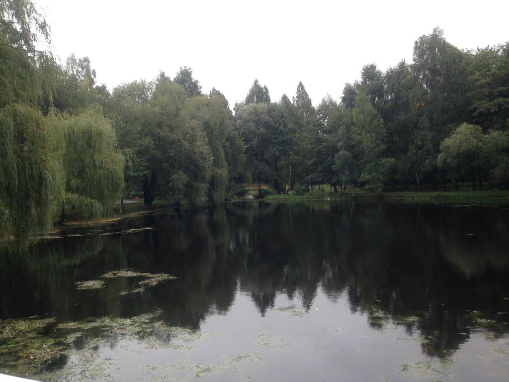 Шепетівка з panoramio.com (ч.2) - Шепетовка
