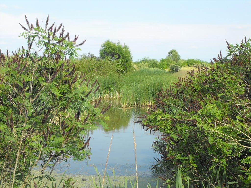 Фертешолмаш з panoramio.com - Фертешолмаш