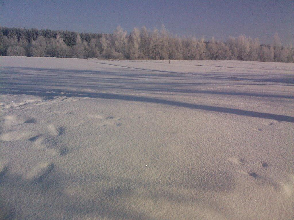 Осовець з panoramio.com - Осовец