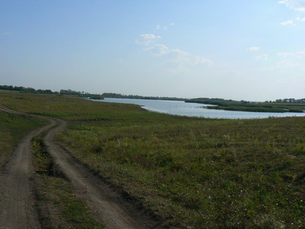 Карла Лібкнехта з panoramio.com - Карла Лібкнехта