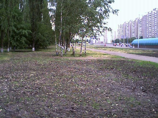 Коцюбинське з panoramio.com (ч.3) - Коцюбинское