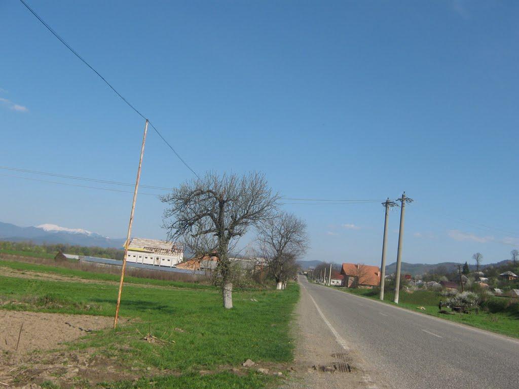 Нижня Апша з panoramio.com - Нижня Апша