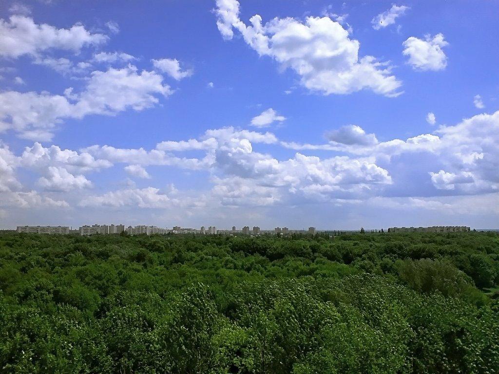Затишшя з panoramio.com - Затишье