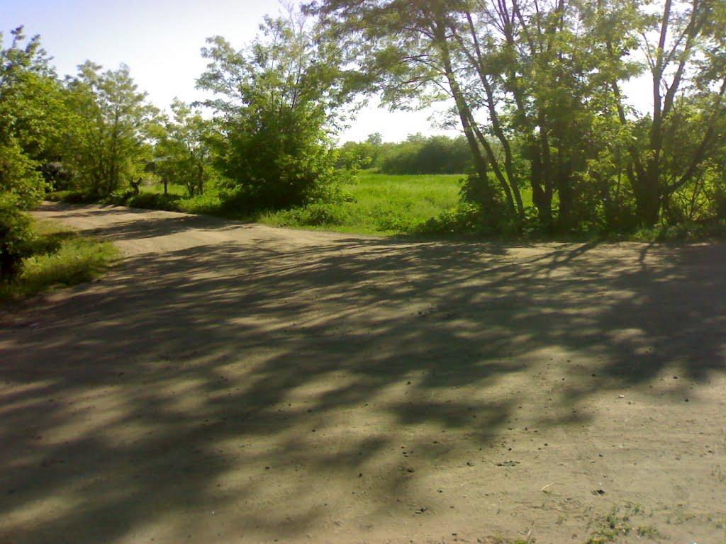 Врадіївка з panoramio.com - Врадіївка