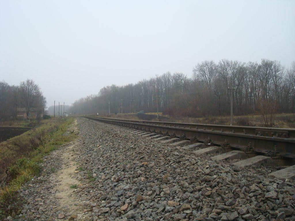 Лошківці з panoramio.com - Лошківці