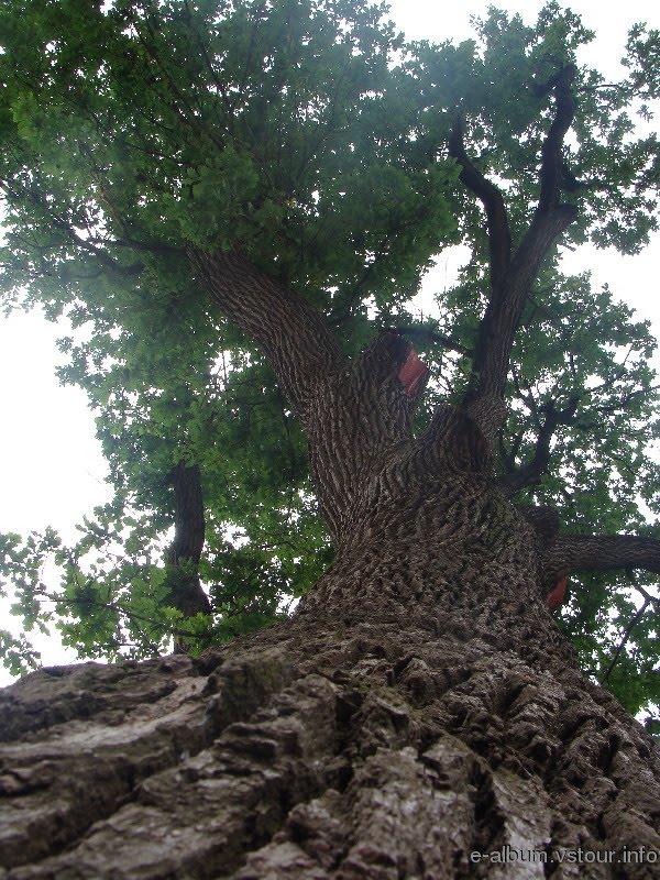 Терпіння з panoramio.com - Терпіння