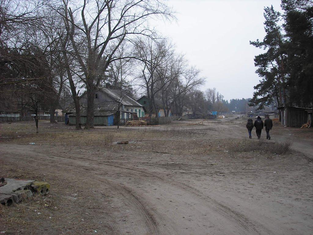 Десна з panoramio.com - Десна