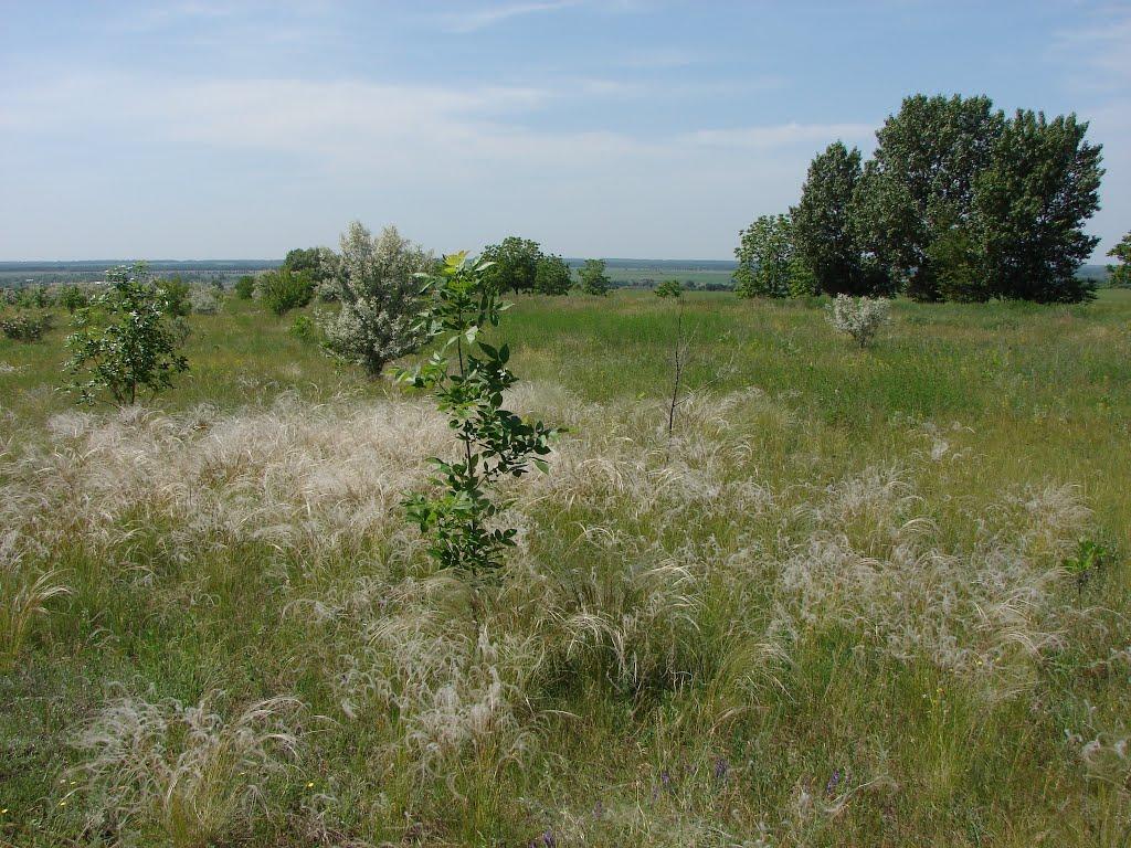 Слов'янка з panoramio.com - Слов'янка