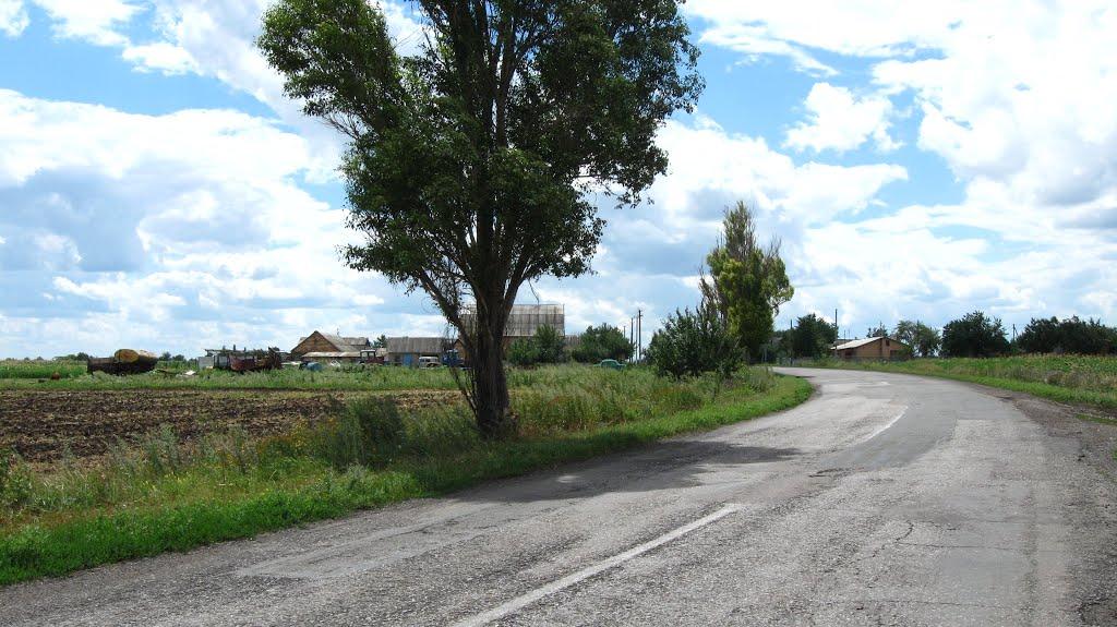 Новоявленка з panoramio.com - Новоявленка