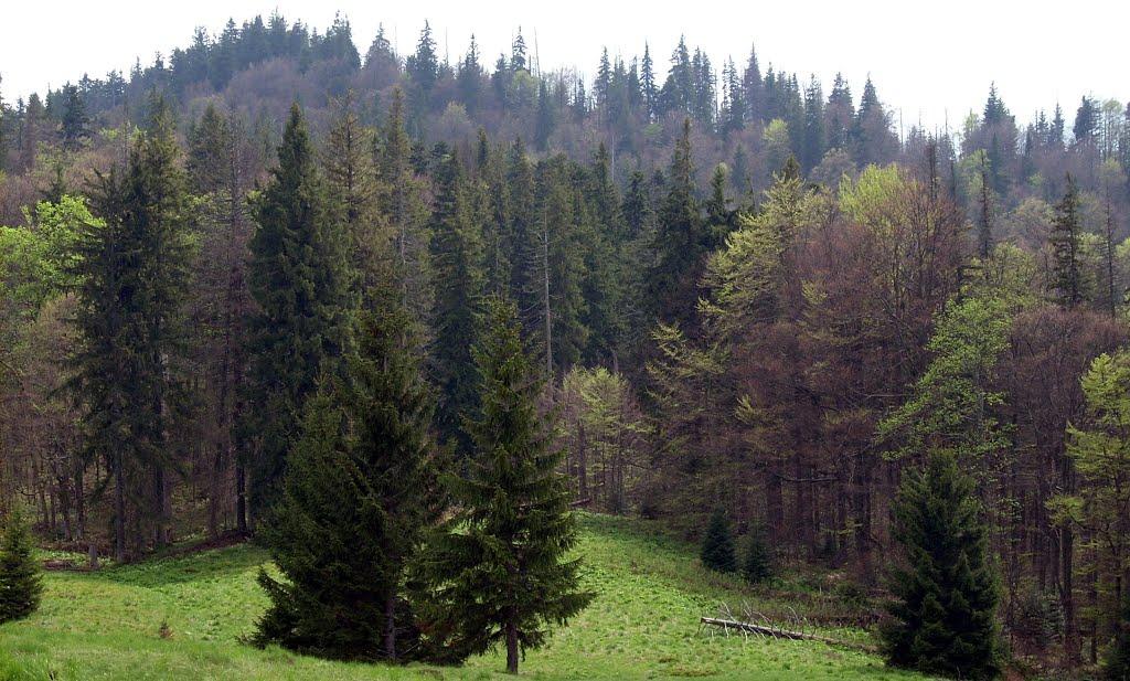 Коростів з panoramio.com - Коростів