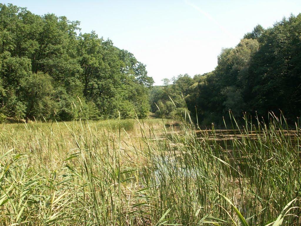 Таганча з panoramio.com - Таганча