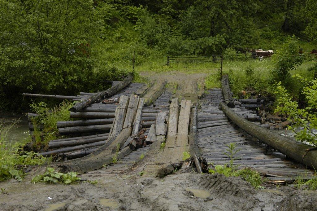 Нижній Яловець з panoramio.com - Nyzhniy Jalovets