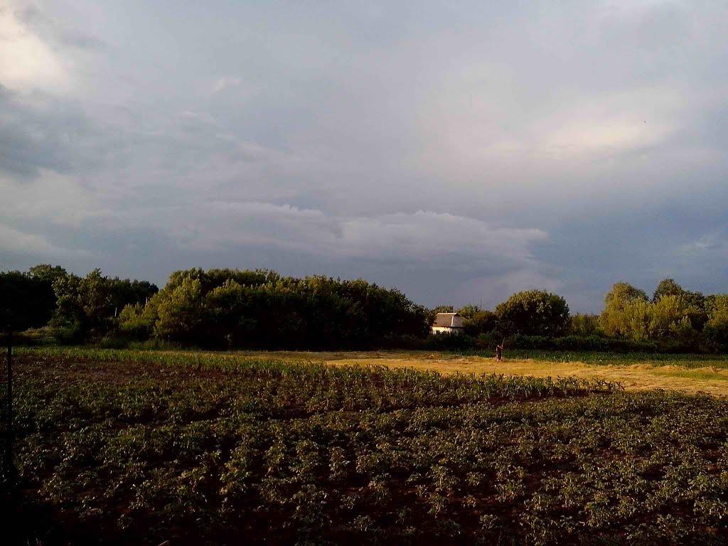 Хорішки з panoramio.com - Хорошки