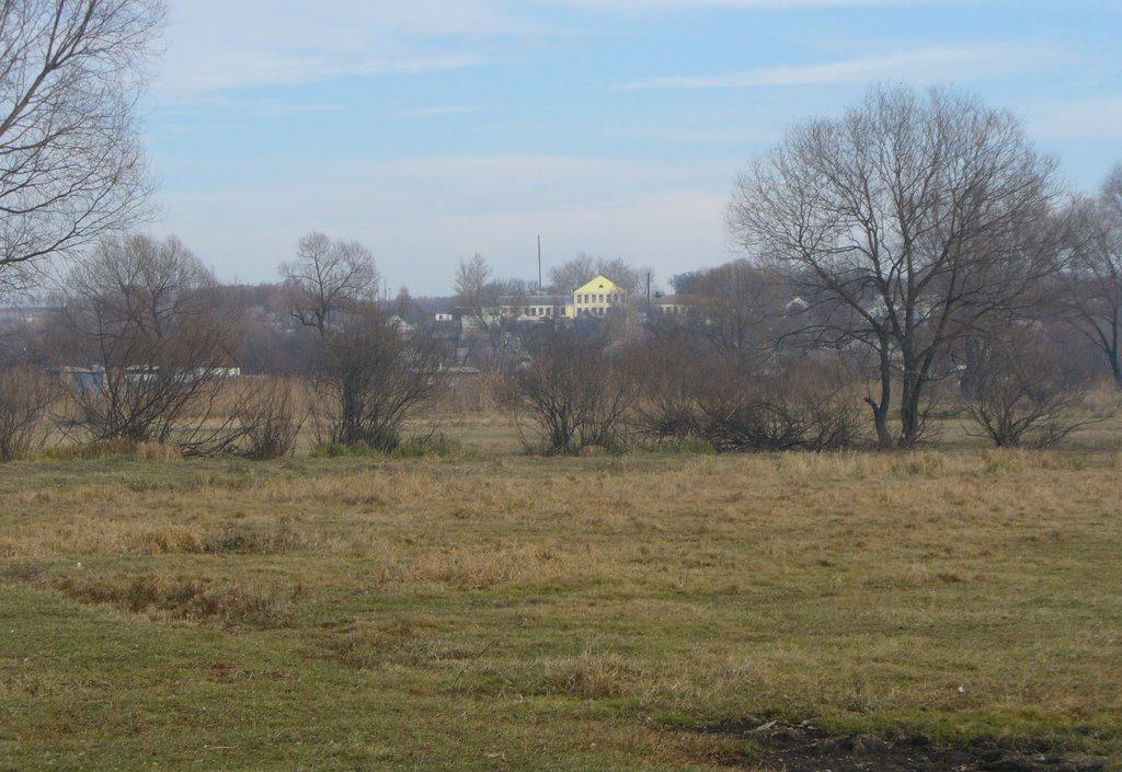 Шабельне з panoramio.com - Шабельне