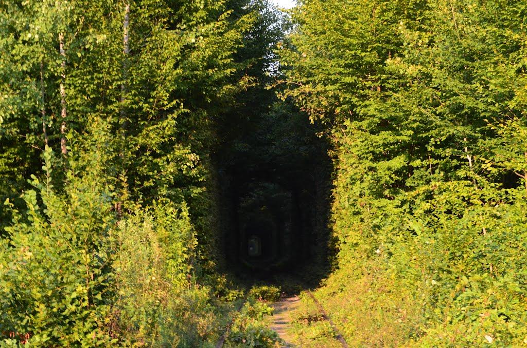 Клевань з panoramio.com - Клевань