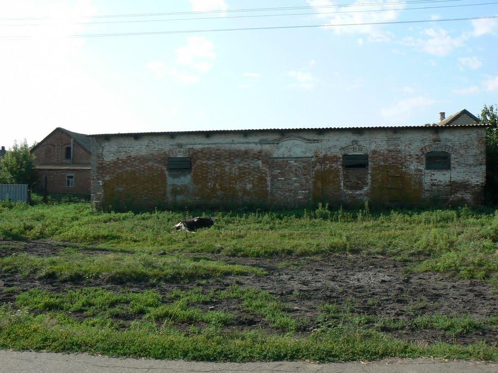 Карла Лібкнехта з panoramio.com - Карла Лібкнехта