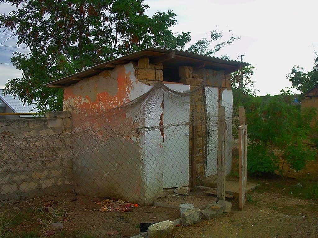 Шевченкове з panoramio.com - Шевченково