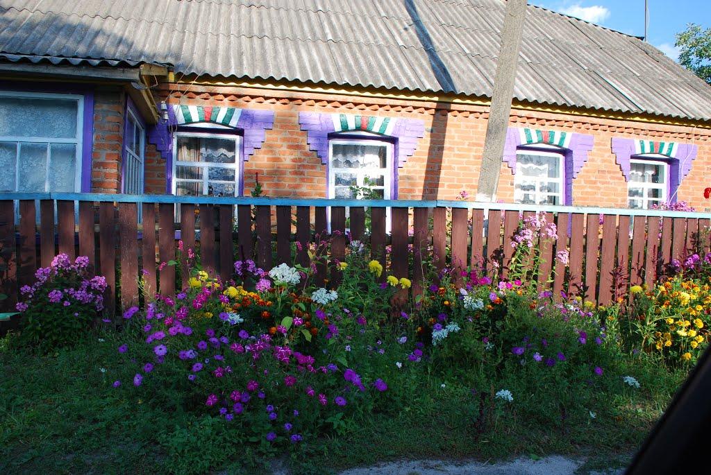 Карпилівка з panoramio.com - Карпиловка