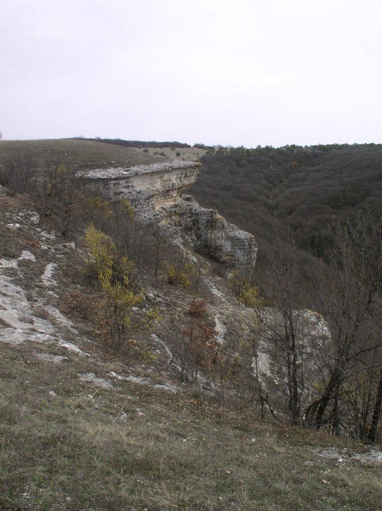 Партизанське з panoramio.com - Партизанське