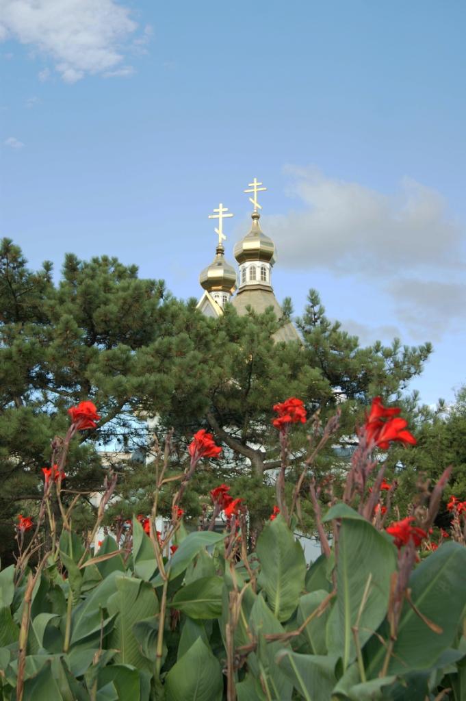 Приморський з panoramio.com (ч.2) - Приморский