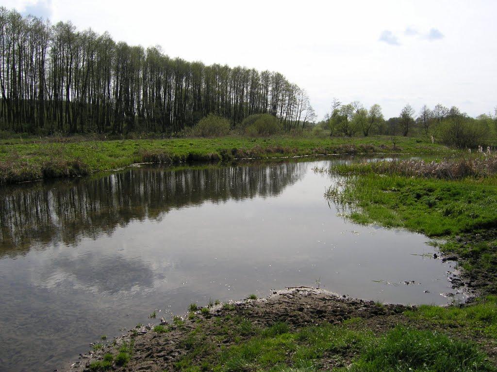 Миролюбівка з panoramio.com - Миролюбівка