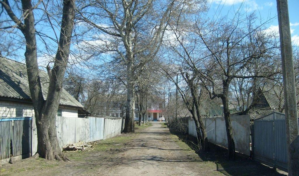 Давидівка з panoramio.com - Давидівка