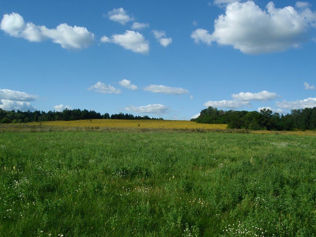В'язенка з panoramio.com - Вязенка