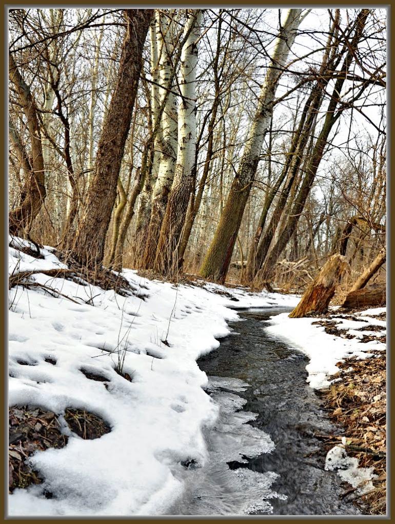 Привілля з panoramio.com - Привілля