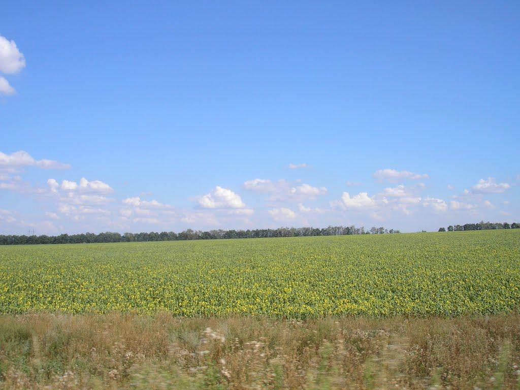 Євецько-Миколаївка з panoramio.com - Євецько-Миколаївка